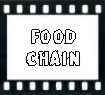 Food Chain Pictures